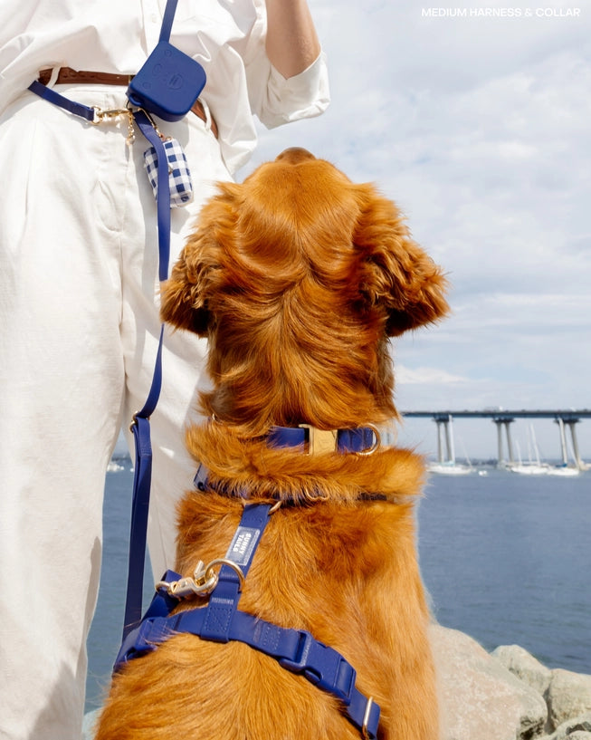 Harnais imperméable Navy