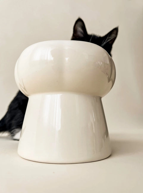 Bol à nourriture en céramique