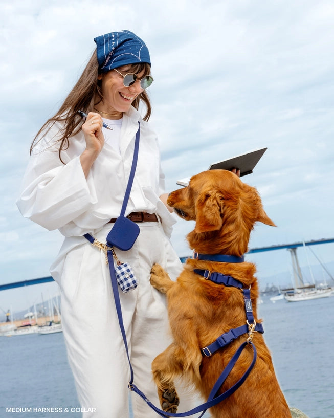 Laisse Mains Libres ajustable - Navy