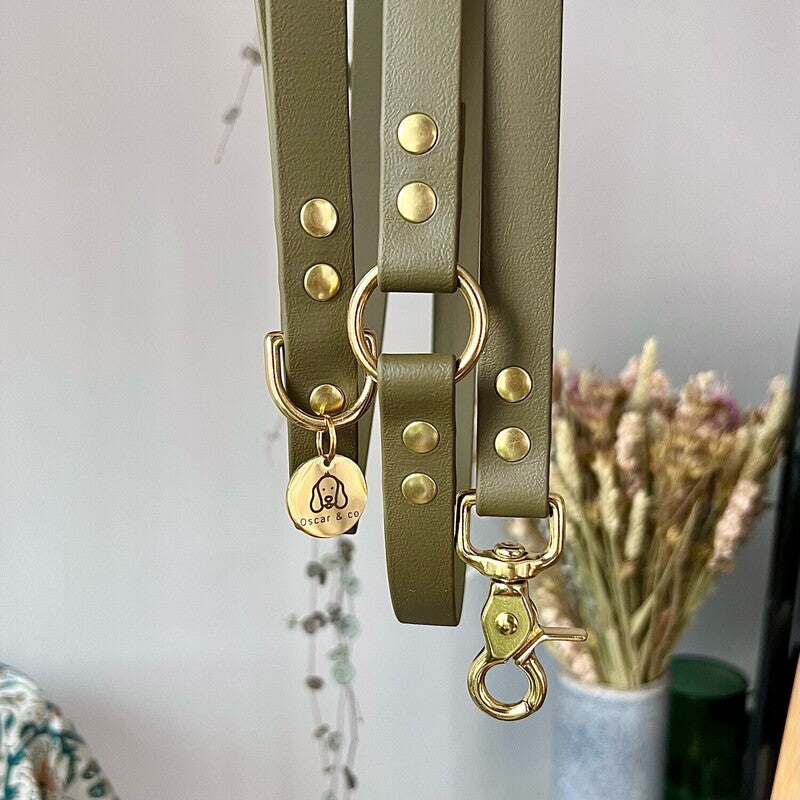 Laisse Mutli-positions Biothane® Kaki