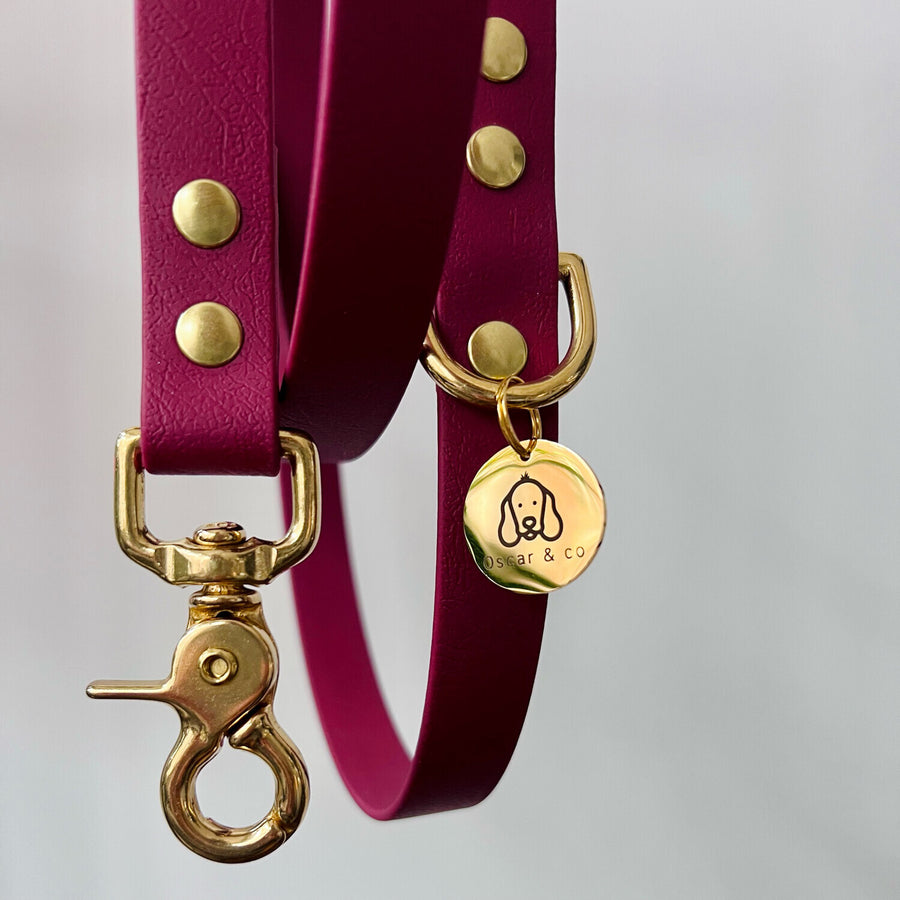 Laisse Mutli-positions Biothane® Bordeaux