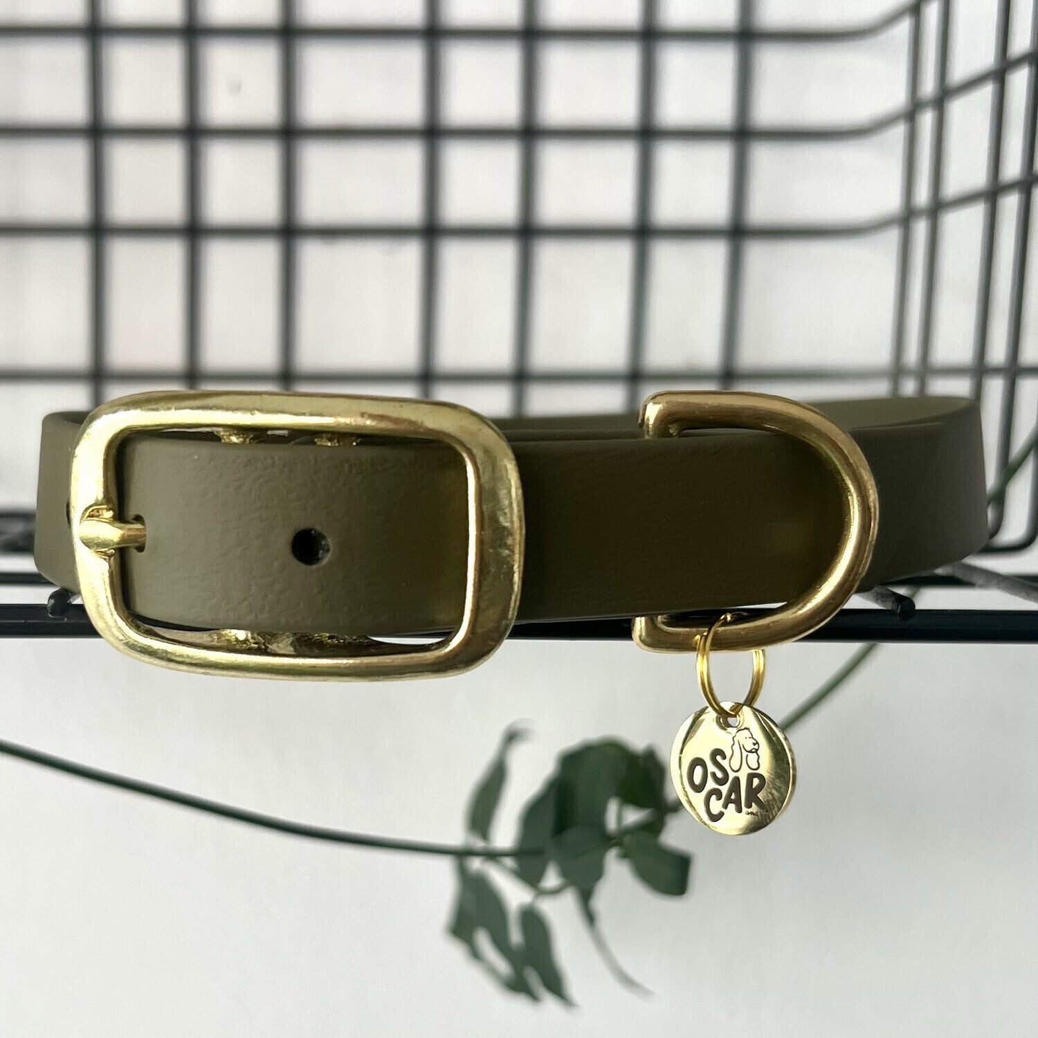 Collier Biothane® Kaki