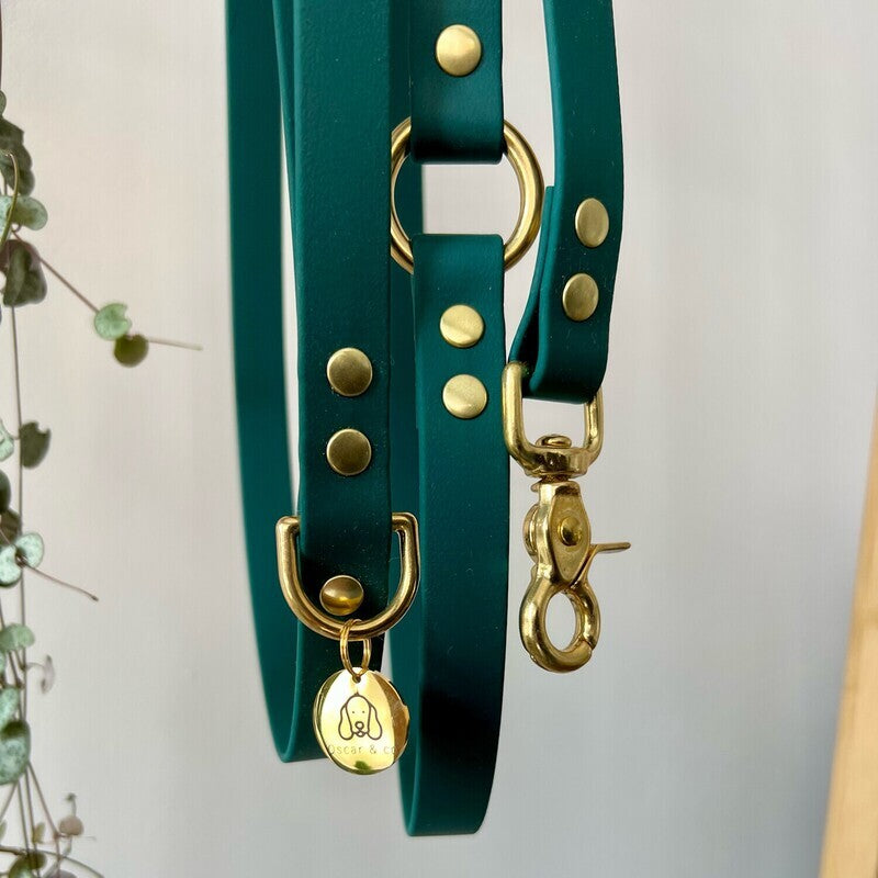 Laisse Mutli-positions Biothane® Emeraude