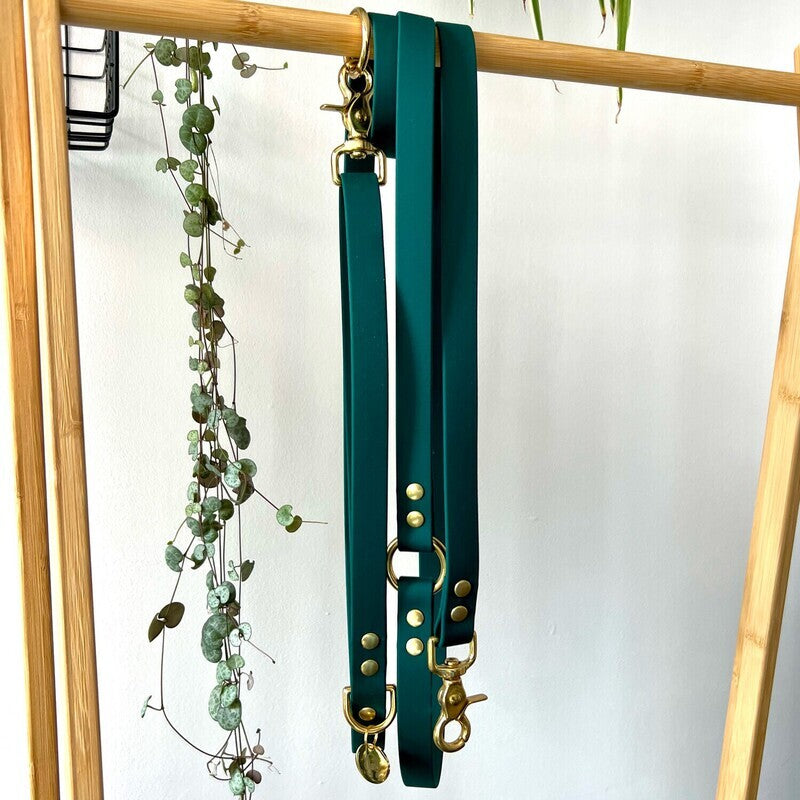 Laisse Mutli-positions Biothane® Emeraude