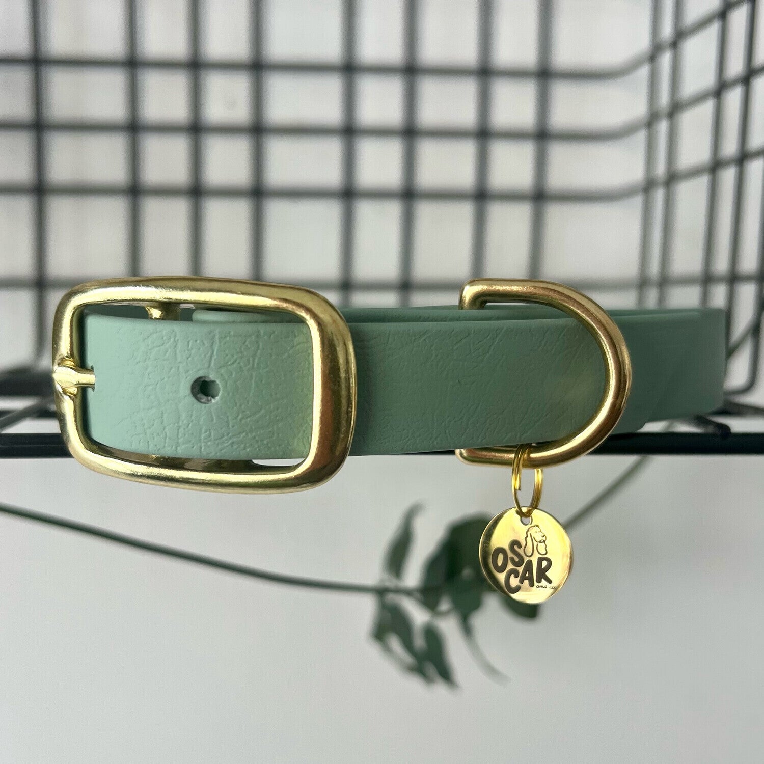 Collier Biothane® Sauge