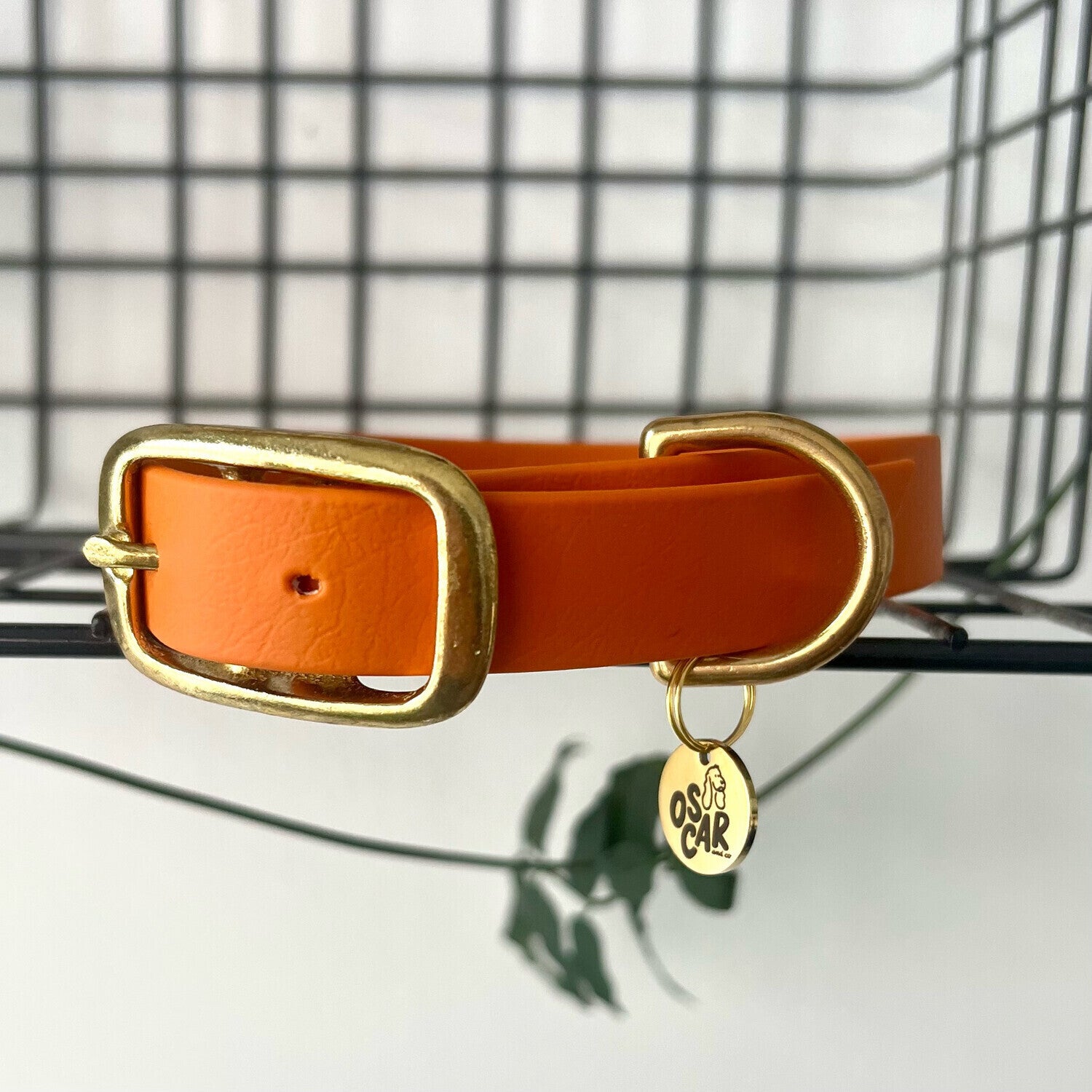 Collier Biothane® Orange