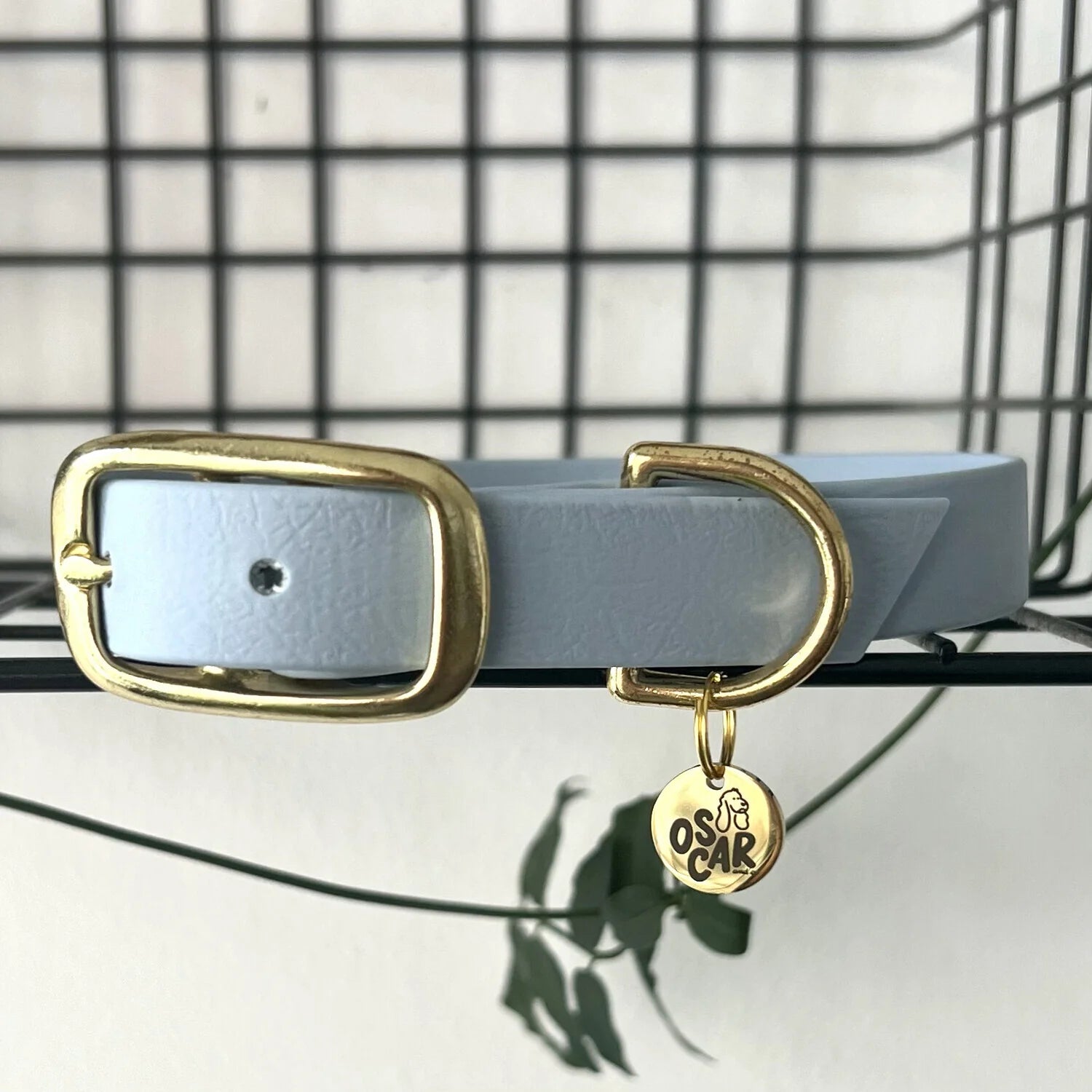 Collier Biothane® Bleu Pastel