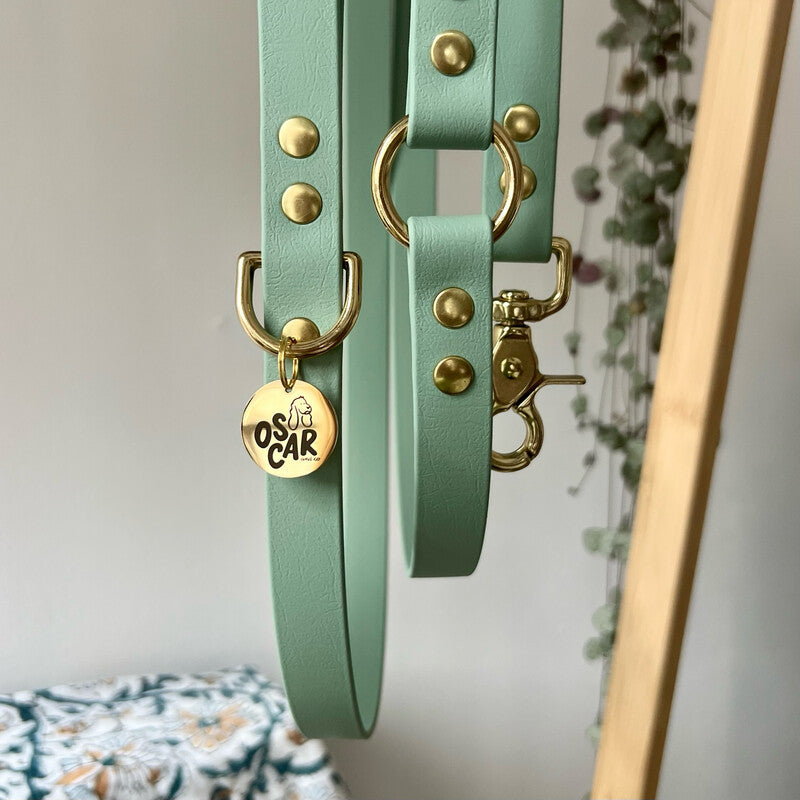 Laisse Mutli-positions Biothane® Sauge