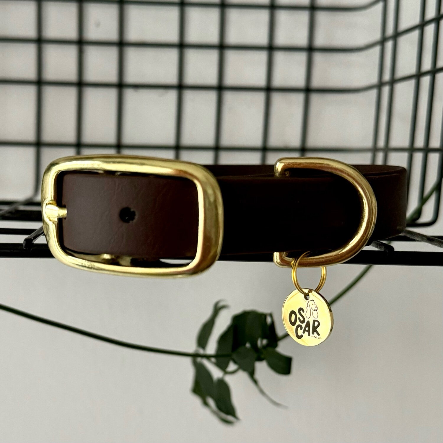 Collier Biothane® Tonka