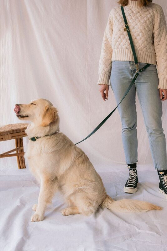 Laisse Mutli-positions Biothane® Emeraude