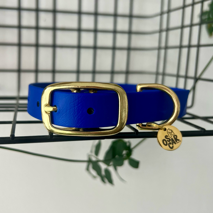 Collier Biothane® Bleu Roi