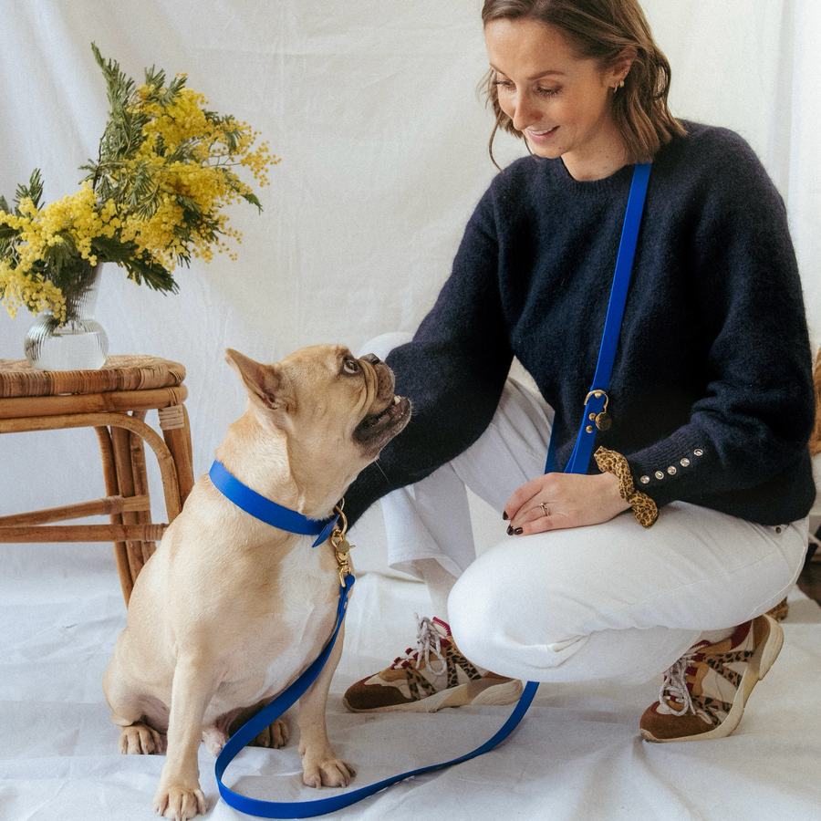 Laisse Mutli-positions Biothane® Bleu Roi