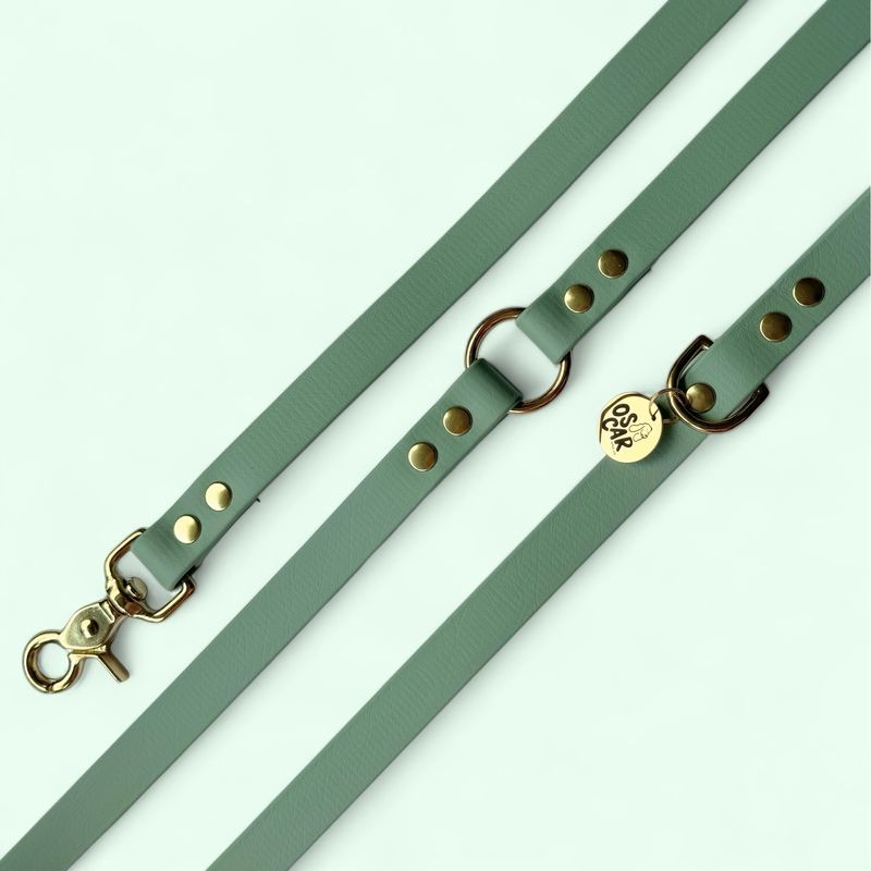 Laisse Mutli-positions Biothane® Sauge