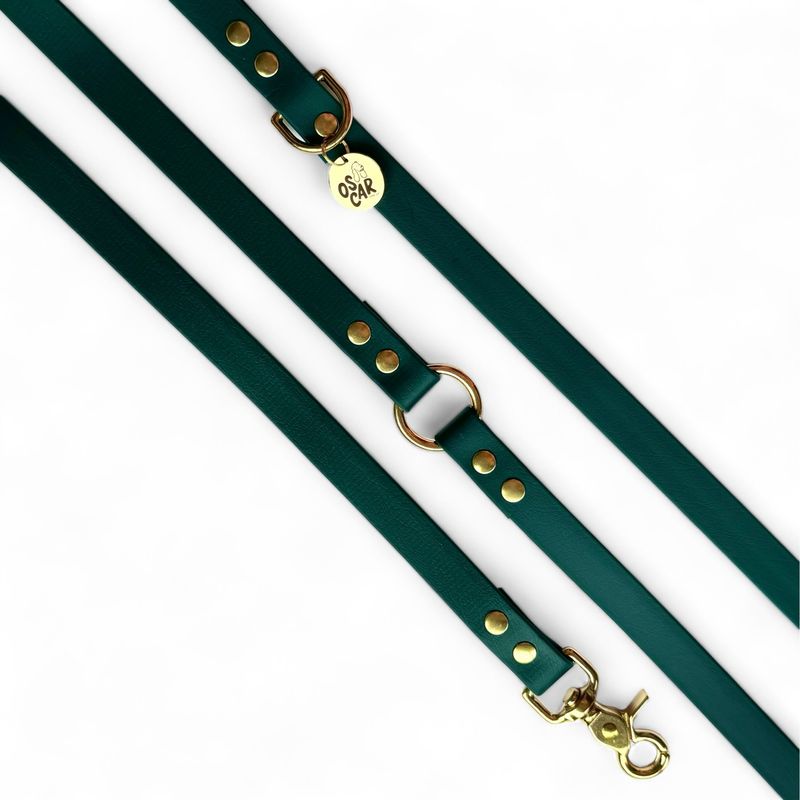 Laisse Mutli-positions Biothane® Emeraude