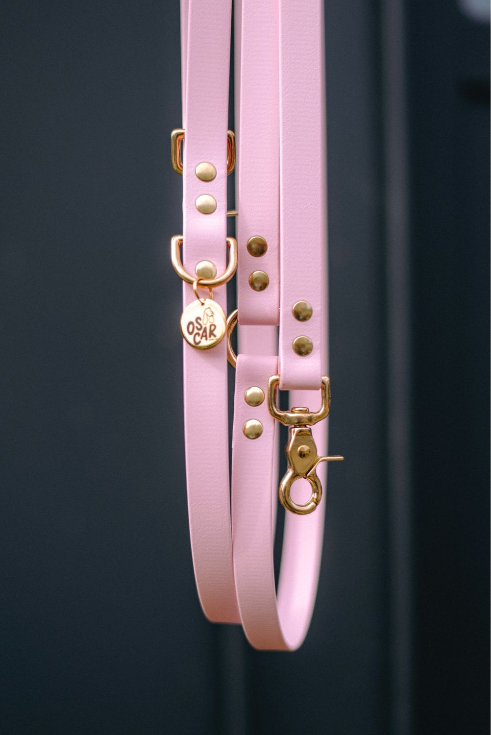 Laisse Mutli-positions Biothane® Rose