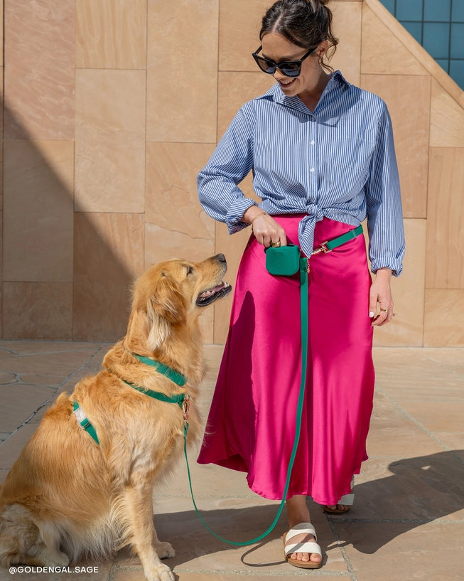 Laisse Mains Libres ajustable - Vert