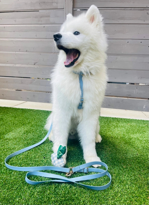 Harnais imperméable Bleu