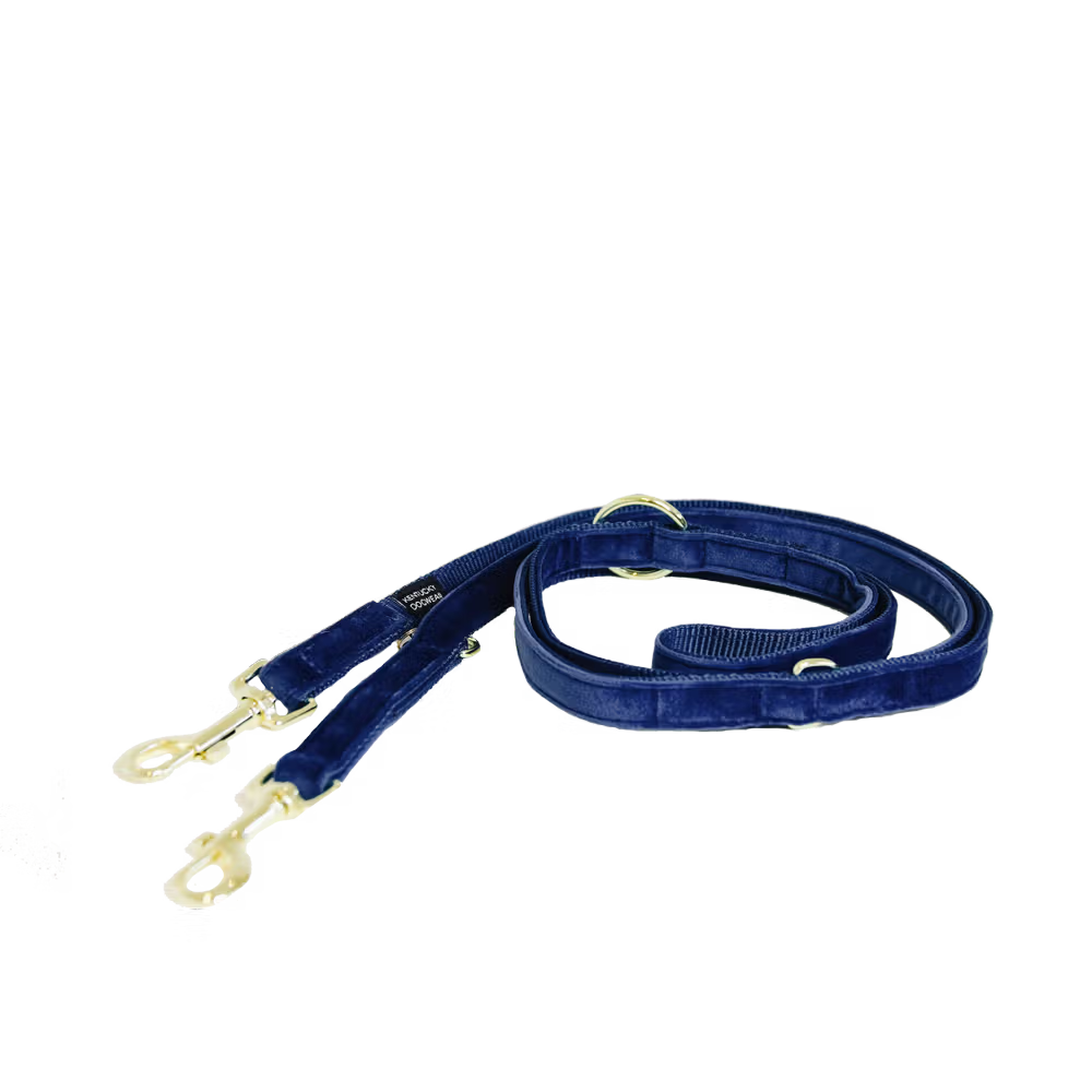 Laisse Mains Libres Velvet