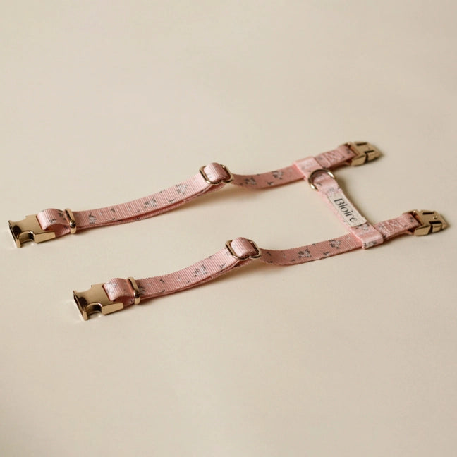 Le Kit de ballade - prairie