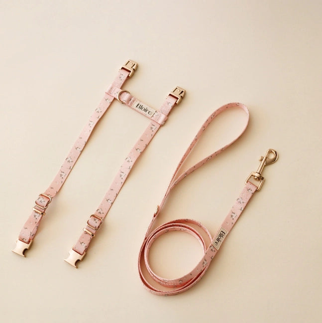 Le Kit de ballade - prairie