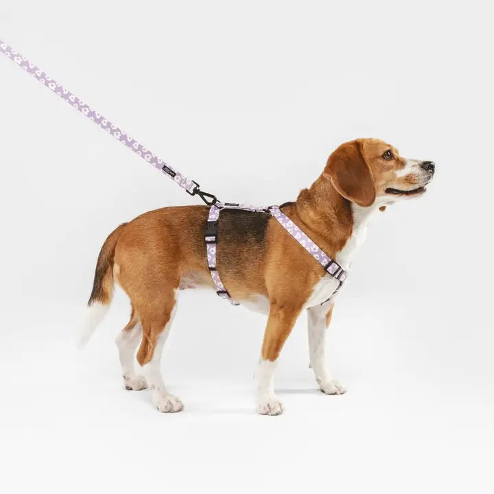 Harnais Lila à fleurs