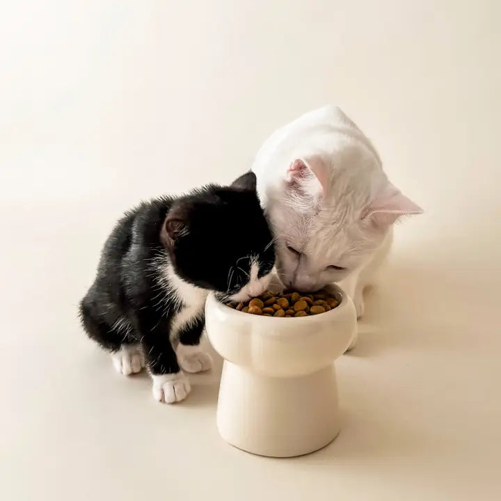 Bol à nourriture en céramique