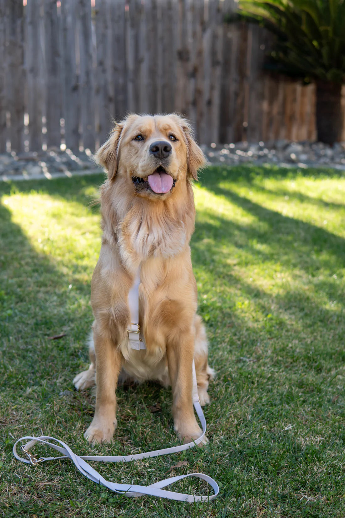 Harnais imperméable Lavande