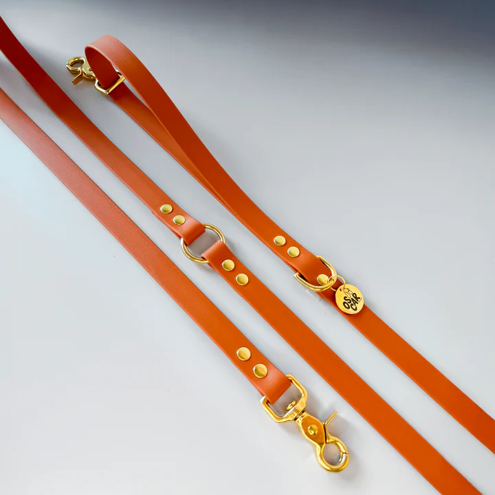 Laisse Mutli-positions Biothane® Orange