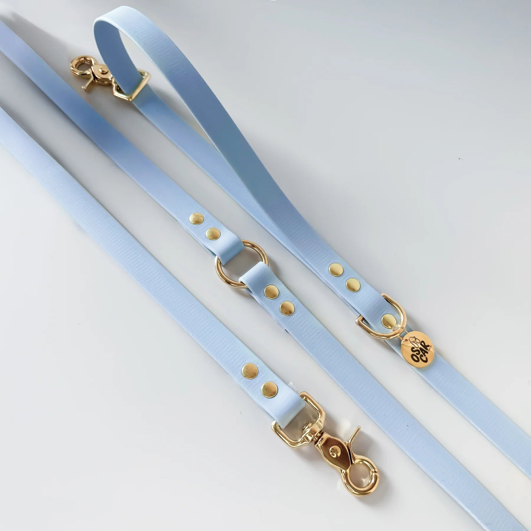 Laisse Mutli-positions Biothane® Bleu Pastel