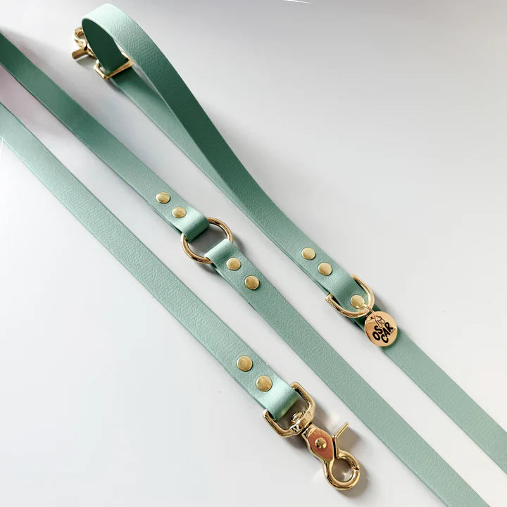 Laisse Mutli-positions Biothane® Sauge