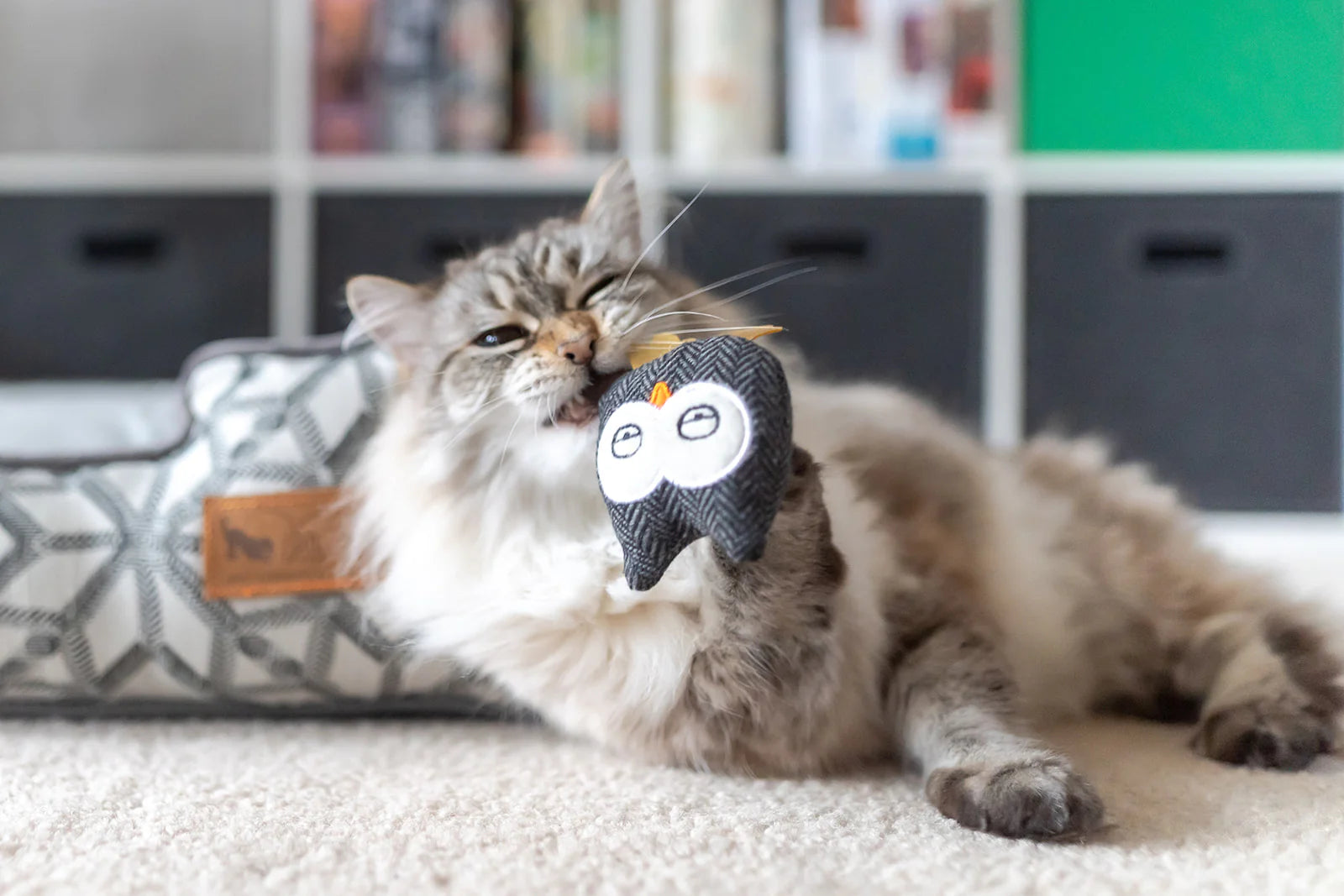 Woodland - Chouettes