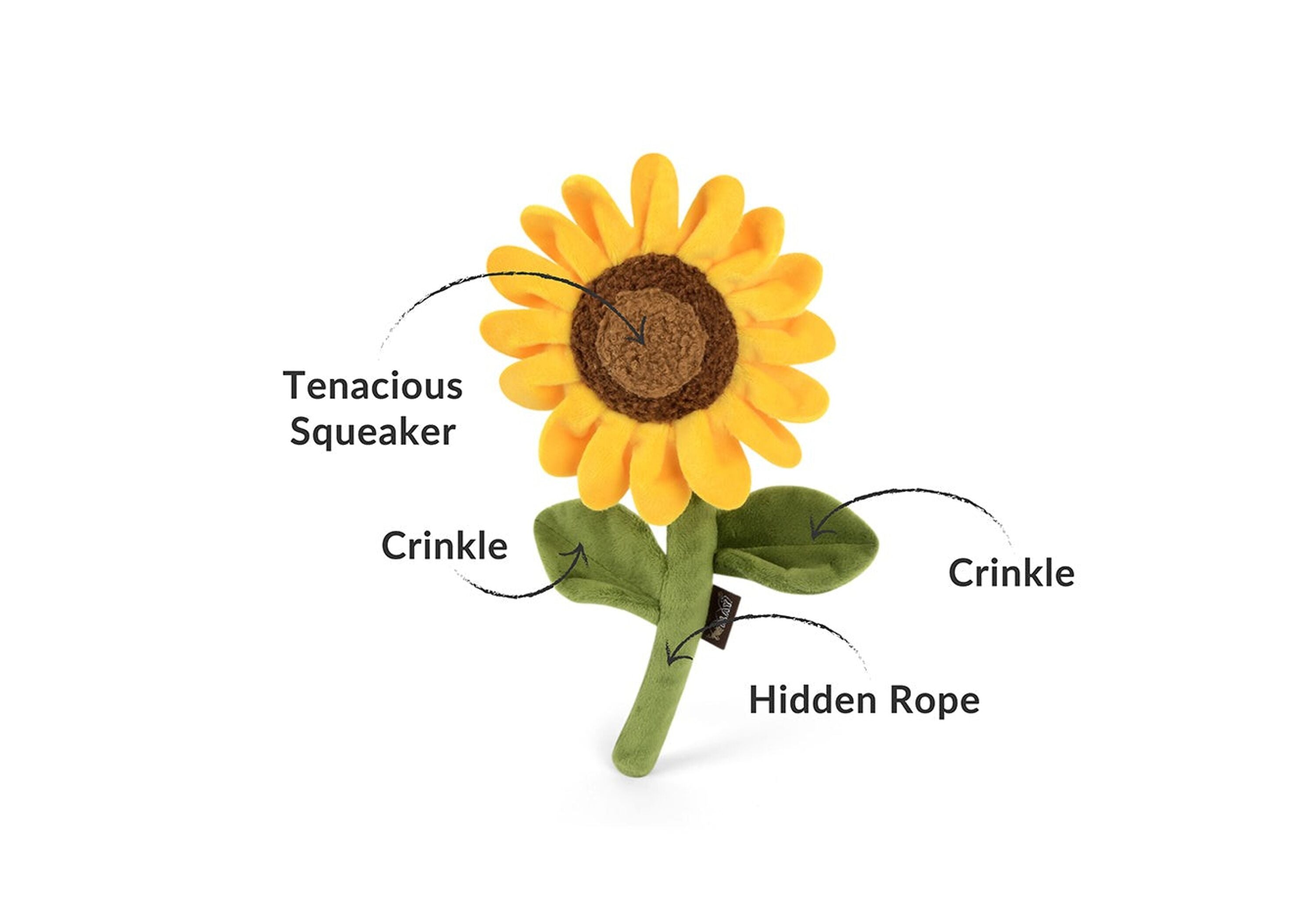 Le tournesol