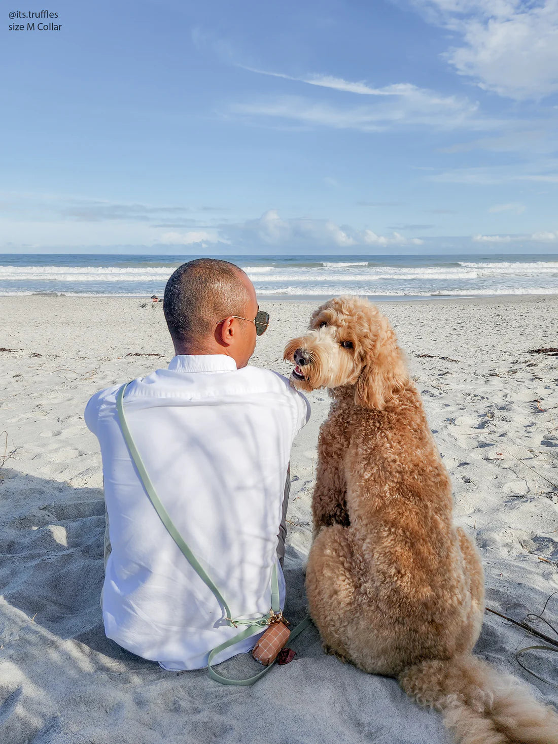 Laisse Mains Libres ajustable - Pistache