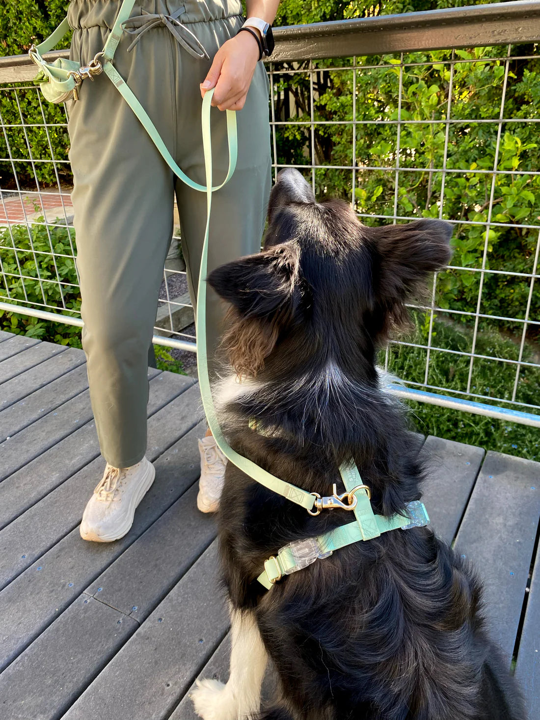 Harnais imperméable Pistache