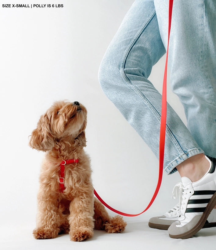 Harnais imperméable Rouge