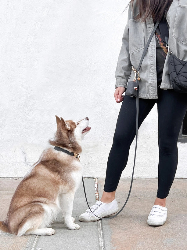 Distributeur de sacs à déjections - Noir