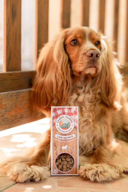 Friandises - Nuggets d&