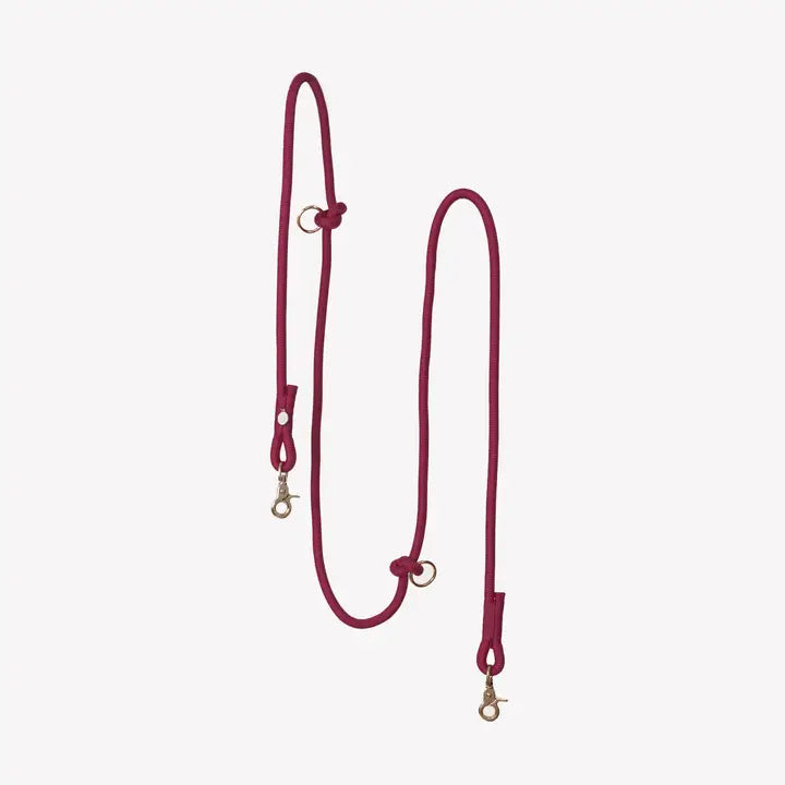 Laisse mains libres - Bordeaux