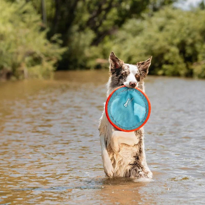 Frisbee Paraflight