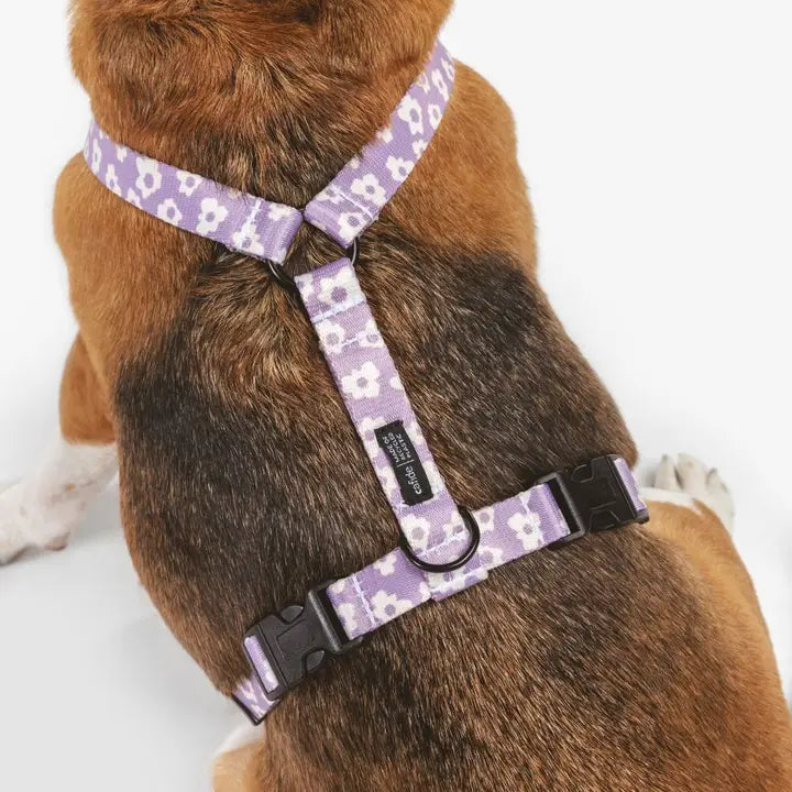 Harnais Lila à fleurs