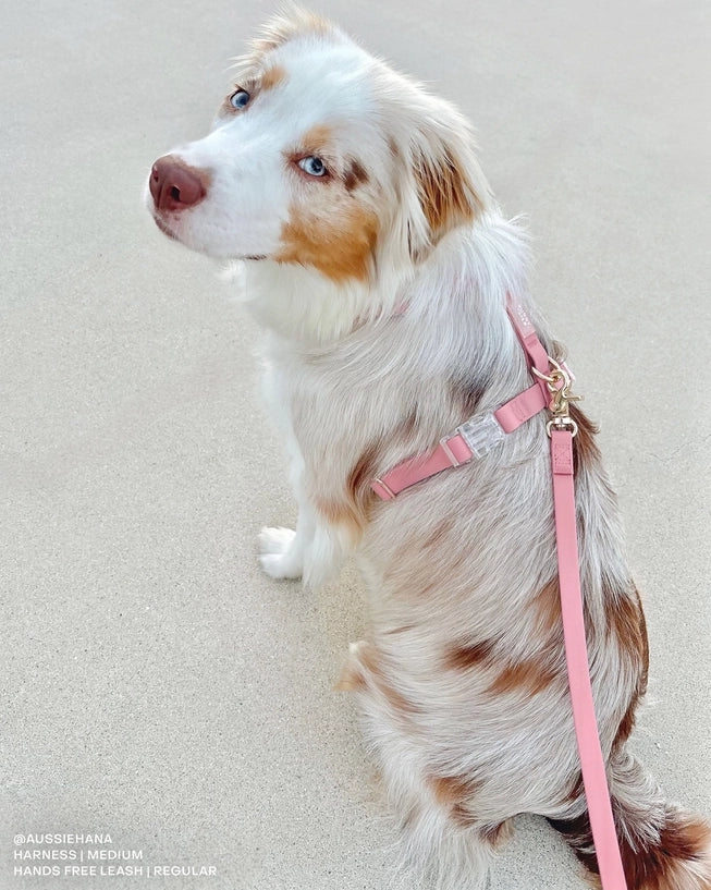 Harnais imperméable Rose