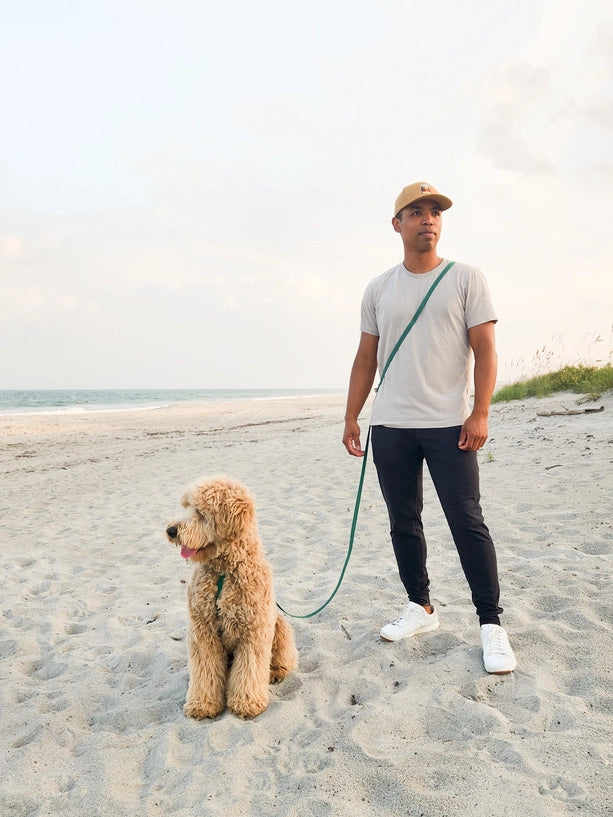 Laisse Mains Libres ajustable - Pistache