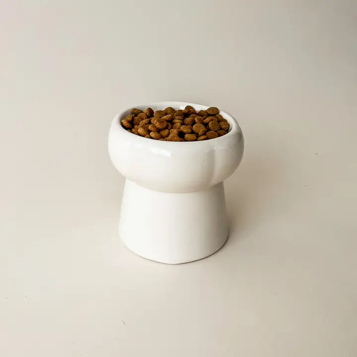 Bol à nourriture en céramique