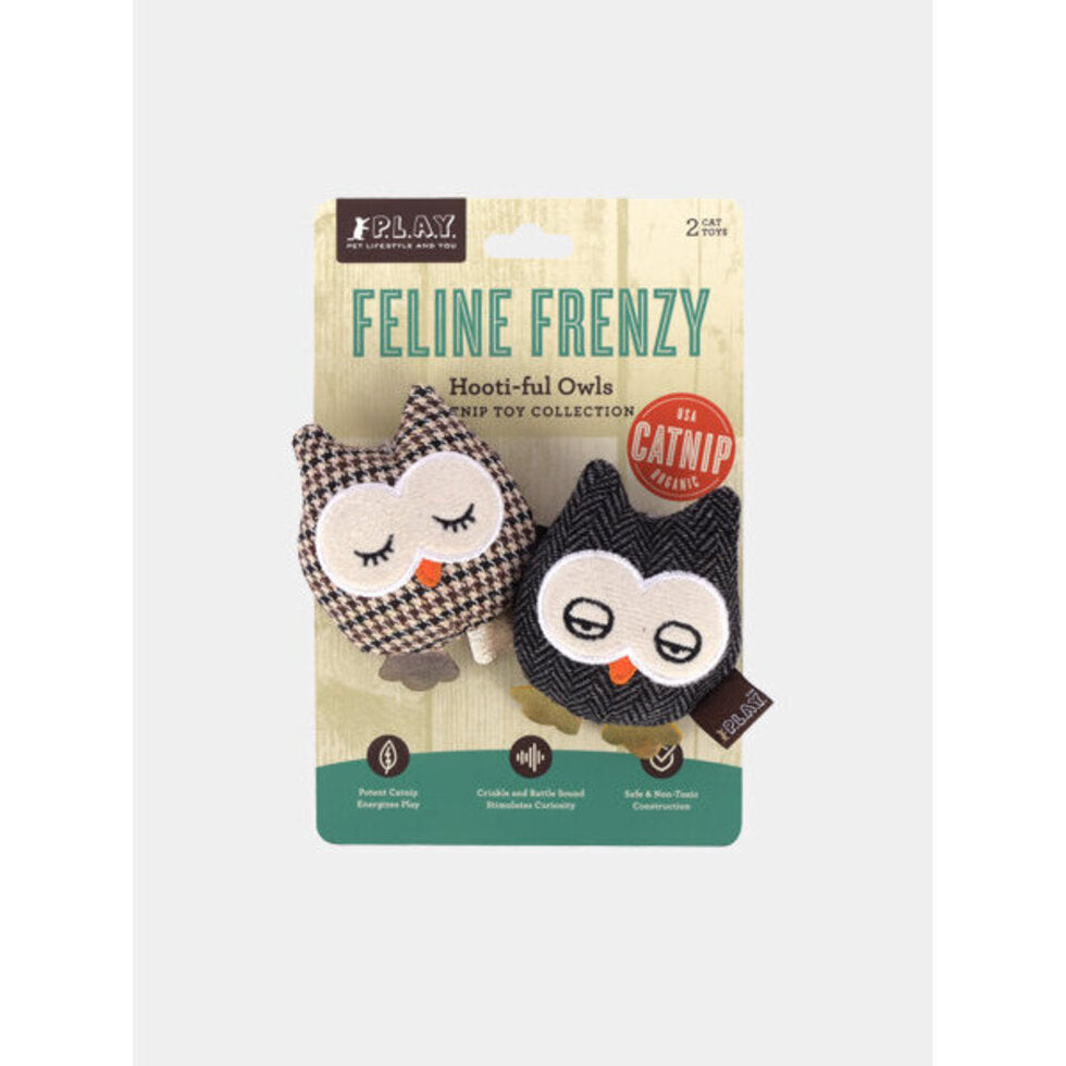 Woodland - Chouettes