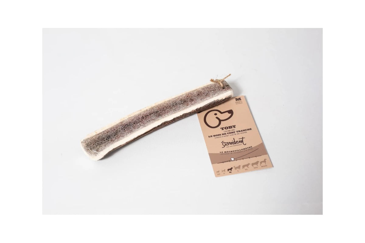 TOBY - bois de cerf tranché