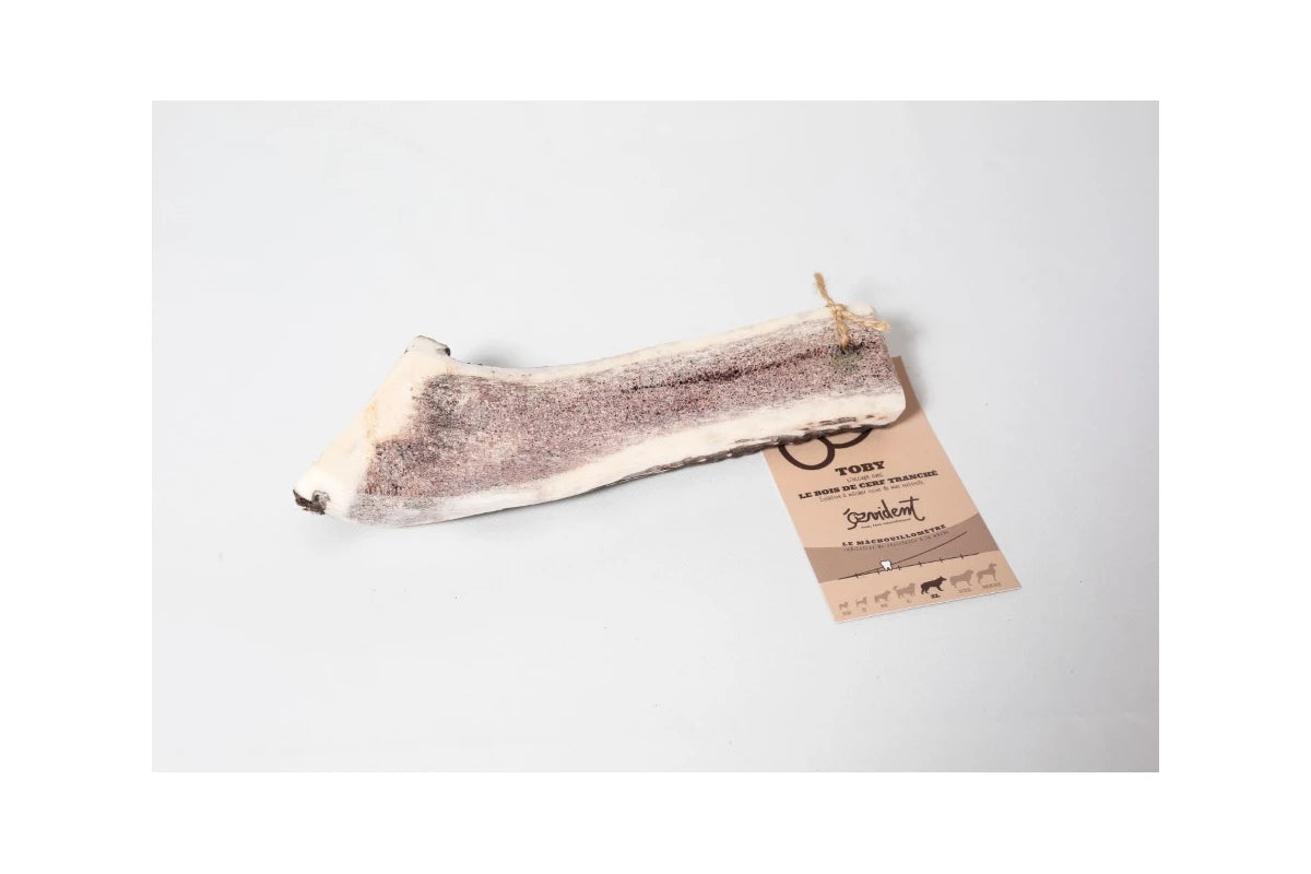 TOBY - bois de cerf tranché