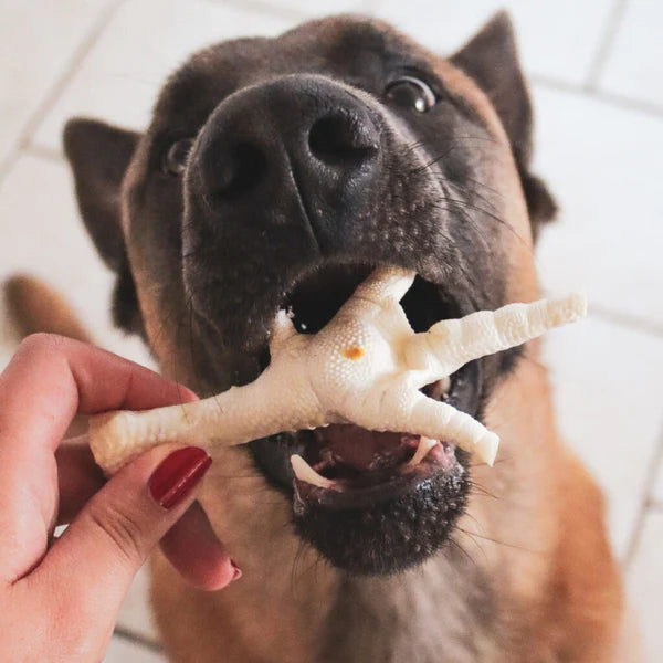 Pattes de poulet soufflées