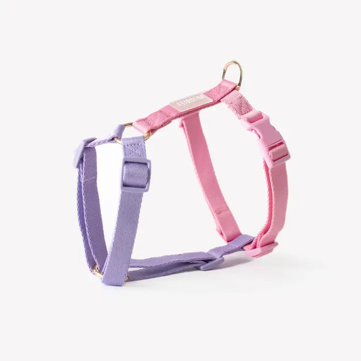 Harnais Lavender &amp; Pink