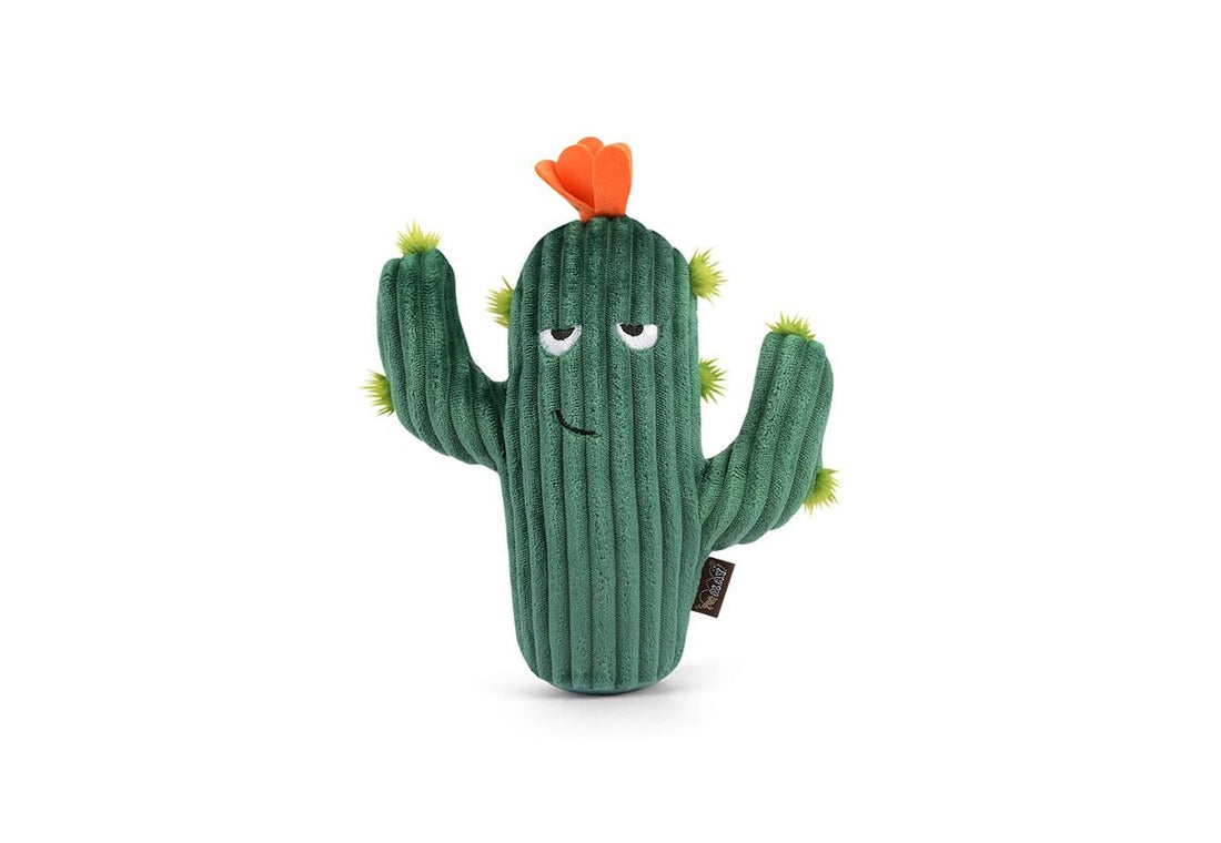 Le Cactus
