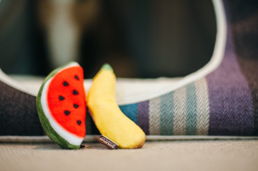 Les Fruits